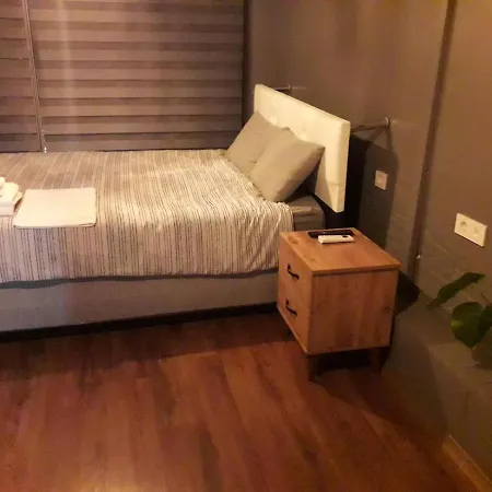 Daily Rent In Center Of Besiktas Apartment Istanbul